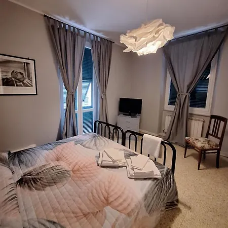 Nest Rest Apartment